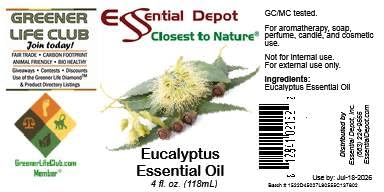 Aceite Esencial de Eucalipto Essential Depot 4 oz miniatura 6