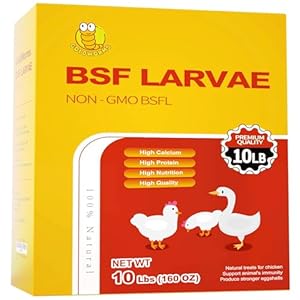10LBS Dried Black Solider Fly Larvae of Chicken Treats – BSF Larvae 85x More Calcium Than Meal Worms -100% Natural Dried BSF for Chickens, Birds, Reptiles, Hedgehog, Geckos, Turtles, Hens