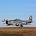 E-flite P-51D Mustang 1.2M Rc Airplane, Silver