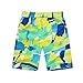 Kids Boys Baggy Bathing Suit Loose Drawsting Elastic Waist Straight Printed Swim Tunks Relaxed Comfy (Green, 9-10 Years)