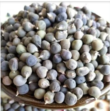 Image of Desi /Native /Non-GMO Bhindi /Okra seeds for home garden | 80 Seeds | Best in Germination | Free Growing Instruction Manual (Pack of 2)