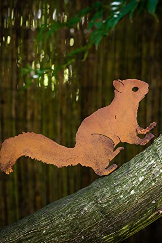 Elegant Garden Design Alert Squirrel, Steel Silhouette With Rusty Patina #TOP2