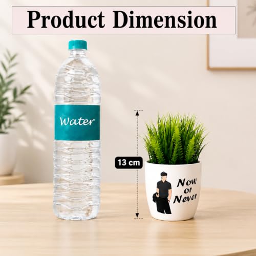 Image of Artificial Plants with Motivational Printed Pots | Mini Fake Plants for Home Decor | Cute Desk Plants for Office Desk, Living Room, Study Table & Balcony Decor | Modern Decorative Planter (Pack of 2)