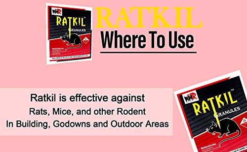 Mouse Control Rodent (50gm X 2 Pcs)