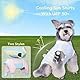 Hundeshirt Sommer, Kühlwesten für Hunde, Weich Hundekleidung, UV Schutz Haustier T-Shirt, Hunde Tshirt für Kleine Mittelgroße Große Hund (M,Gelb A)