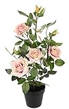 Flair Flower im Topf Rosen Rosenstock Rosenbäumchen Kunstrosen Seidenblumen Kunstpflanzen Kunstblumen Kunstbaum künstliche 151504RS Rosa 50x27 cm