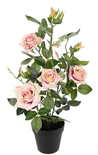 Flair Flower im Topf Rosen Rosenstock Rosenbäumchen Kunstrosen Seidenblumen Kunstpflanzen Kunstblumen Kunstbaum künstliche 151504RS Rosa 50x27 cm Cover