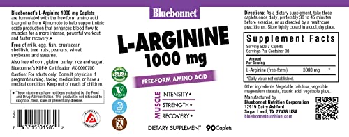 Generic Spring Valley L'Arginine Amino Heart Health Supplement Capsules, 500mg, Value Size, 100 Count + 1 Mini Pill Container (Style & Color Varies)