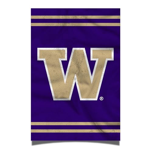 Desert Cactus University of Washington Poster U of W UW Huskies Husky 11 x 17 Inch Room Office Décor Decoration Official Fan Gear (11x17 inch, Version 3)