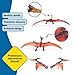 Schleich Dinosaurs Realistic Winged Pteranodon Figurine - Detailed Prehistoric Jurassic Dino Figurine, Durable for Fun Play for Boys and Girls, Gift for Kids Ages 4+