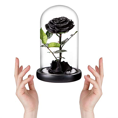 Perfectione Preserved Roses (9 inch, Black)
