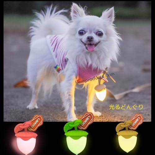 【光るどんぐり 首輪】 LED ライト USB充電式 夜 さんぽ 安心 安全 リード ハーネス カラー 犬用 猫用 長さ調節可 小型犬 中型犬 大型犬 ペット用品 蛍光 発光 点滅 点灯 事故防止 グッズ ケア ウォーキング イベント 散歩 装飾 バンド