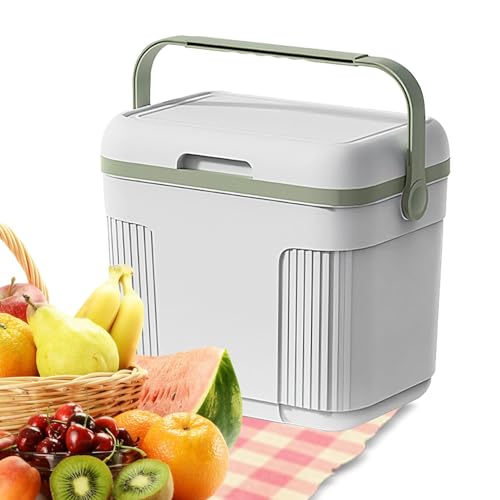 Refrigerador Camping 10 L – Refrigerador Camping Portátil | Refrigerador Versátil para Caja de Almuerzo, Caja isotérmica con asa, Caja de congelación para Gar r El Contenido Fresco