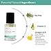 Toenail Fungus Treatment Extra Strength Antifungal Solution and Nail Fungus Treatment for Toenail - Repairs Fungal Damaged, Yellow, Thick, Discolored Nails - Fingernails and Toe Nail Fungus Treatments