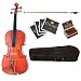 Cecilio CVA-400 15-Inch Solid Wood Flamed Viola