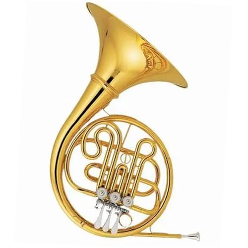 SҌt`zy vtFbViptH[}Xl^Cv4L[t`zǊy