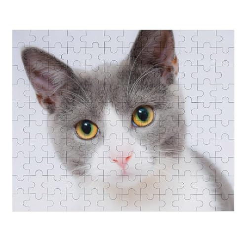 L   pY NG[VAjObY ϋv l jp D ߋ t@[Xg`CX ؐ  Ǐ葡蕨 av[g 120 PCS