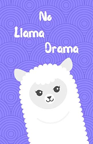 No Llama Drama: Mini Notebook