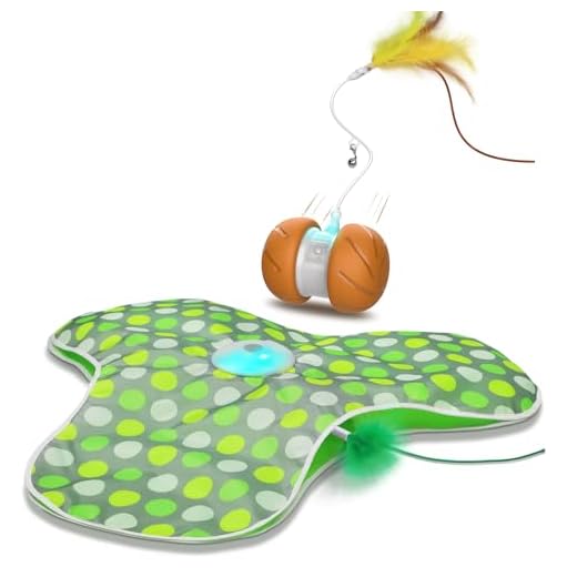 Moving Feather Wand Robot Toy