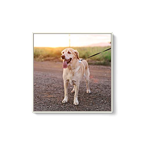 NWT Custom Framed Canvas Prints with Your Photo for Pets, Personalized Canvas Wall Art for Living Room, Bedroom - 16x16 inches