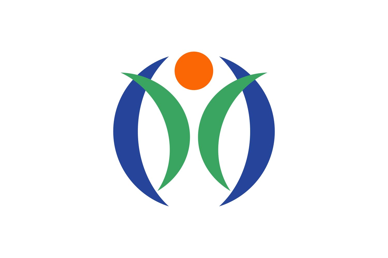 Drapeau de Kazo Saitama grand format pour combler les collectionneurs de bannières du Japon
