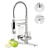 Taimimy Wasserhahn Küche Hochdruck, Edelstahl 304 Gewerbefederarmatur mit Spülbecherhalter, 2 Wasserstrahlarten, 360° Schwenkbar, Einhandmischer
