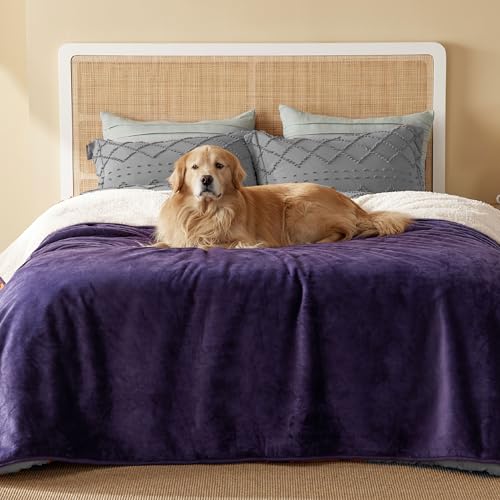 Image of Bedsure Waterproof Blanket for Bed - Sherpa Fleece Waterproof Dog Blankets for Large Dogs, Pet Blankets for Bed /Couch /Dog Crate, Soft Plush Reversible Furniture Protector, Queen, 90 inchx86 inch, Eggplant