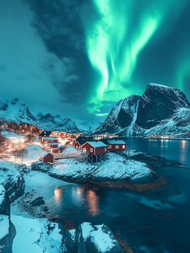 I[ G LbghG h DIYG fW^G Xm[}Ee p^[fUC, yCgoCio[ SҌ ȒP paint by numbers uVƃANG̋, z[ ItBX 20X30cm, Mo