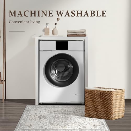 Deerly Vintage Area Rug 3x5 Small Entryway Rug Boho Thin Area Rugs for Living Room Non-Slip Lightweight Washable Rug for Kitchen Entryway Bedroom Dining Room Office, Beige/Multi