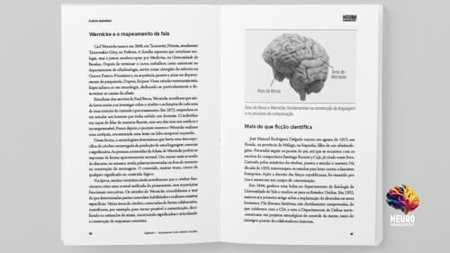 Neuromanagement: cérebro e a gestão do futuro de pessoas e organizações