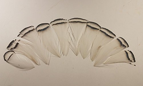 Hareline Dubbin Lady Amherst Tippets