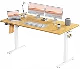 SMUG Standing Desk, Adjustable Height Electric Sit Stand Up Down Computer Table, 63x24 Inch Ergonomic Rising Desks for Work Office Home, Modern Lift Motorized Gaming Desktop Workstation, Natural