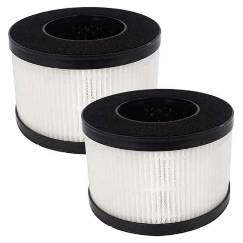 AP01 Replacement Filter Compatible with Himox AP01 H01 Air Purifier H13 True HEPA Filter (2 Pack) Cover