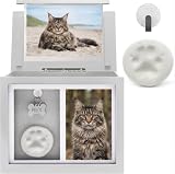 Chasing Tails Cat Urn for Ashes | Pet Memorial Keepsake Photo Box
