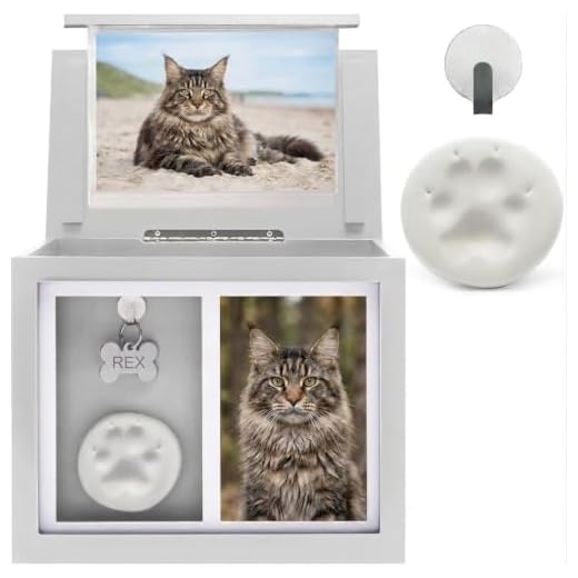 Chasing Tails Dog Urn with Photo Book