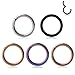 Ruifan 5PCS Stainless Steel Hinged Seamless Segment Hoop Septum Clicker Ring Lip Helix Tragus Cartilage Earrings Nose Rings Pirecing 16g 8mm (Steel+Black+Gold+Rose Gold+Rainbow)