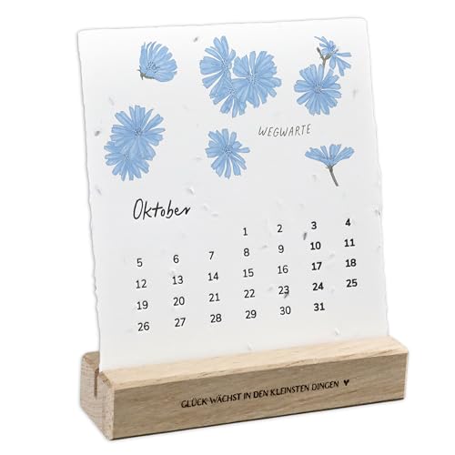 heylittlegreen Einpflanzbarer Tischkalender 2026 | aus handgemachtem Saatpapier | Samen-Kalender mit 13 Sorten zum Einpflanzen | nachhaltige Geschenkidee (Glück wächst in den kleinsten Dingen)