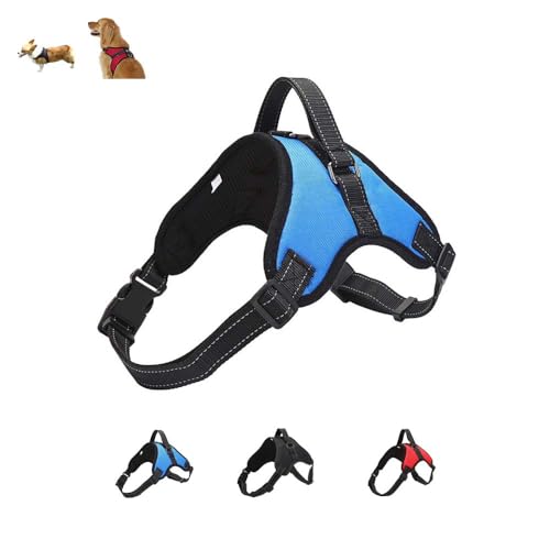 pn[lX h~ ߉\ ʋCLoXn ˃xXg iCDe[vDO Xibv{^ S݌v ^E^E^Ή Og[jOp ȒPE fUC ybg`FXgXgbv UEop A