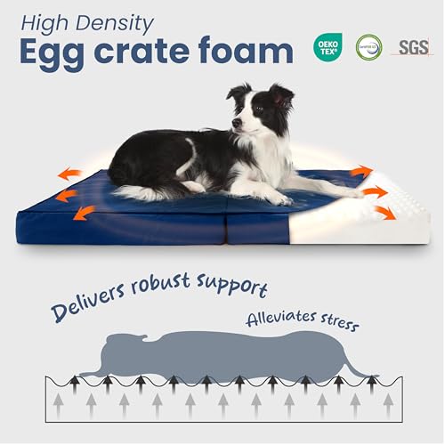 Image of Laifug Foldable Waterproof Dog Bed for Large Dogs - Outdoor Orthopedic Dog Bed with Washable Removable Cover, Pet Mattress with Handles, Navy Blue, (44 x 32 x 3.5 inches)