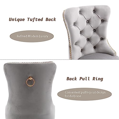 KCC Velvet Dining Chairs Set of 2, Upholstered High-end Tufted Dining Chair with Nailhead Back Ring Pull Trim Stainless Steel Legs, Contemporary Nikki Collection Modern Style for Kitchen, Light Gray - Thumbnail 5
