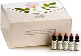 set flores de bach londner Perfecto para el primer equipo o como regalo de alta calidad para expertos y usuarios de la flor de Bach.