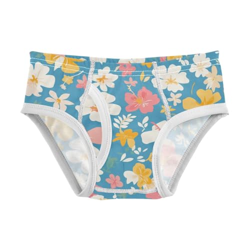 KLL Ditsy Floral Toddler Boys' Cotton Briefs Underwear Cute Children Undies