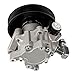 PHILTOP 21-389 Power Steering Pump for C300 2008 2009 2010 C350 2008-2010 with Pulley, Power Assist Pump 54666501, Automotive Replacement Power Steering Pumps