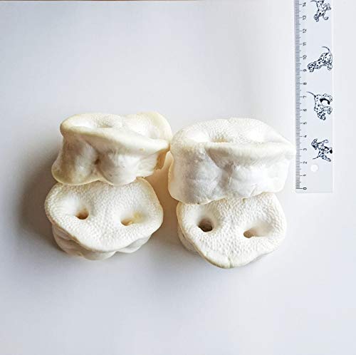 Kaureks Natur Hundeleckerlies Schweinenasen 50 Stück. gepuffte Honignasen, wie Schweineohren, Kausnack,Kauartikel