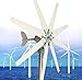 Generador de turbina eólica,Aerogenerador Horizontal Kit 20000W 12V 24V 48V 110V 220V con 8 aspas, pequeña turbina eólica for uso doméstico, RV, yate, bajo ruido,Generador de energía eólica(220V)