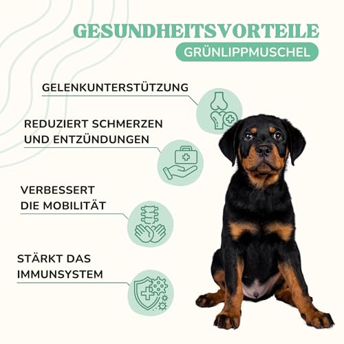 Lamina Care - Grünlippmuschel Pulver für Hunde und Katzen – Natürliche Gelenkunterstützung mit Grünlippmuschel-Extrakt zur Unterstützung von Beweglichkeit, Knorpel & Gelenken, ins Futter mischbar-150g