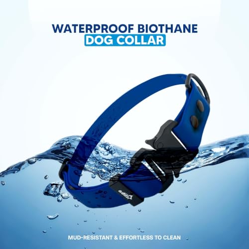 Image of Adil's Biothane Waterproof Dog Collar, Dog Leash & Collar Leash Combo | Heavy Duty TPU Coated Webbing | Adjustable Quick Release Buckle | Odour Resistant (Blue, M-18, Collar only)