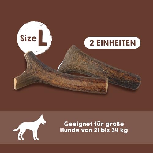 MAIKAI Packung 2 Hirschgeweih für Hunde Größe L – Natürlicher Kauknochen + Widerstandsfähig – Ideal für Mittlere Hunderassen bis 30 kg – Langlebiges Hundespielzeug
