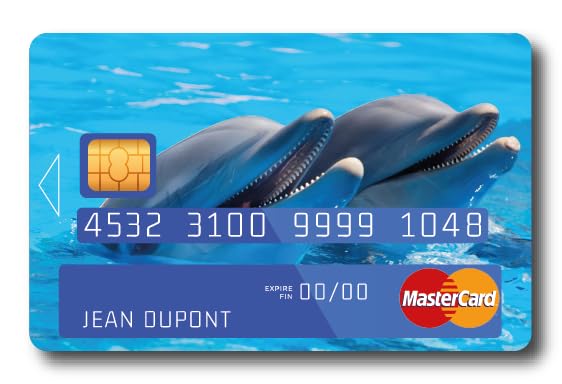 Sticker Autocollant Carte Bancaire Recto - Dauphin - COPPIA - Démarquez-vous en personnalisant votre Carte Bancaire à petit prix - Fabrication Française...