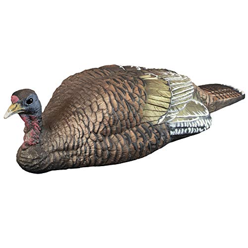 Primos Hunting Lil Gobstopper Hen and Jake Combo Decoy LightWeight